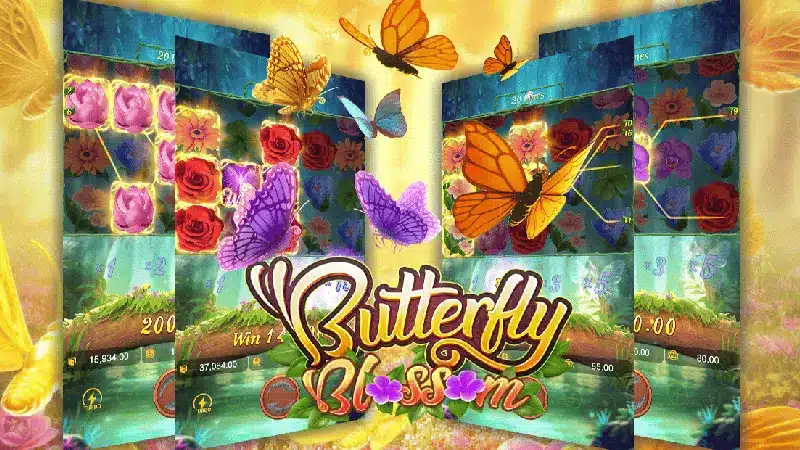 รีวิวเกม Butterfly Blossom สล็อตแตกง่ายที่ Lv224 ยิ่งเล่นยิ่งรวย